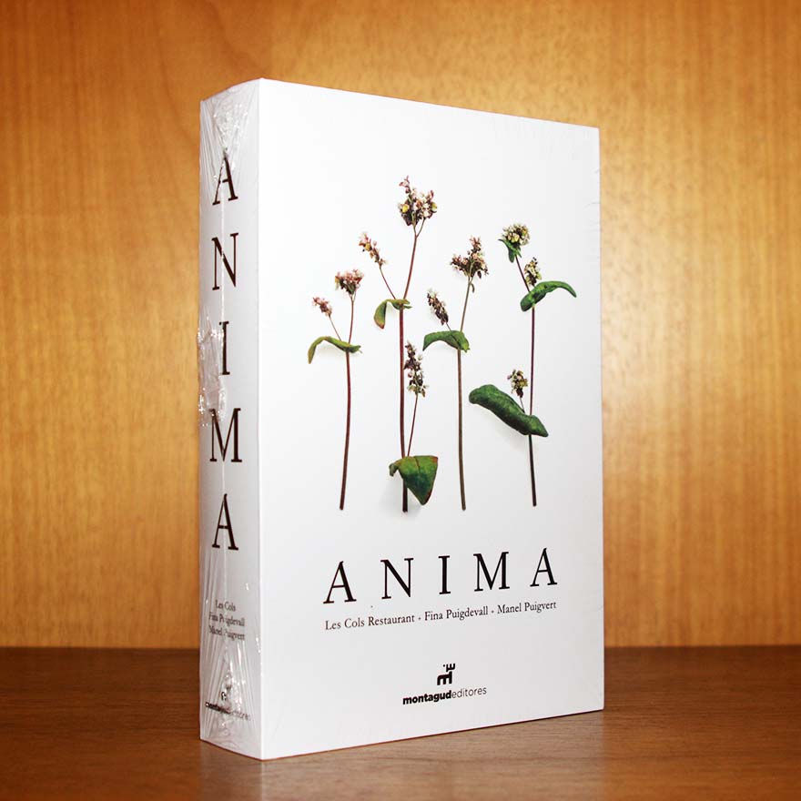 Ediciones Tecnica y Cultura